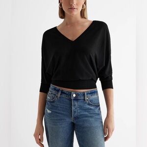 Express V-Neck Dolman Sleeve Sweater